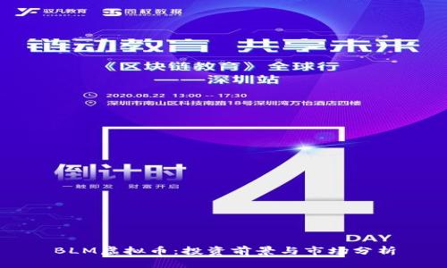 BLM虚拟币：投资前景与市场分析